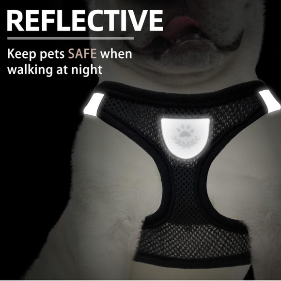 NWT Dog harness collar & leash set, size medium • - Picture 5 of 9